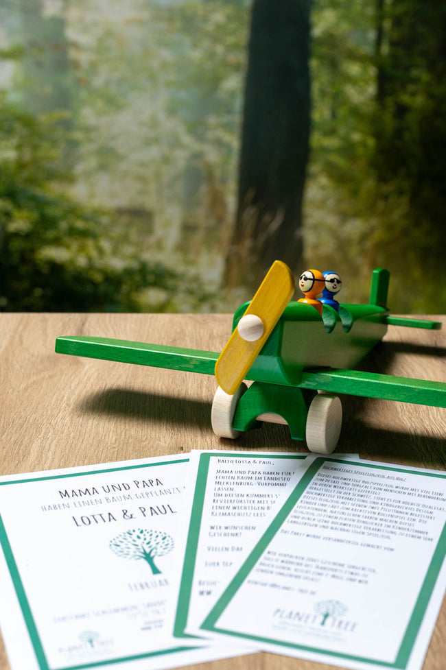 Flugzeug aus Holz