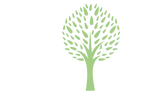 Planet Tree