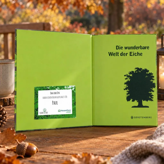 Die wunderbare Welt der Eiche