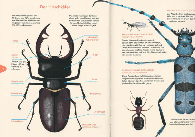 Das zweite Leben der Bäume