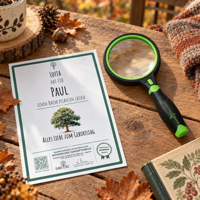 Lupe mit Licht – Geschenkansicht mit aktuellem Baumzertifikat; Beispielgestaltung