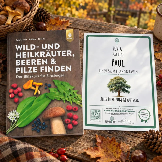 Wild- und Heilkräuter, Beeren & Pilze finden - Für Einsteiger – Geschenkansicht mit aktuellem Baumzertifikat; Beispielgestaltung