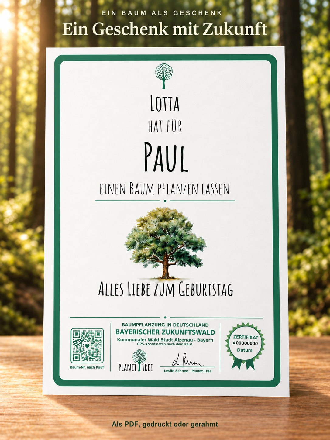 Zertifikat mit Baumpflanzung – Ein Geschenk mit Zukunft – aktuelles Zertifikat mit Eiche im Waldsetting