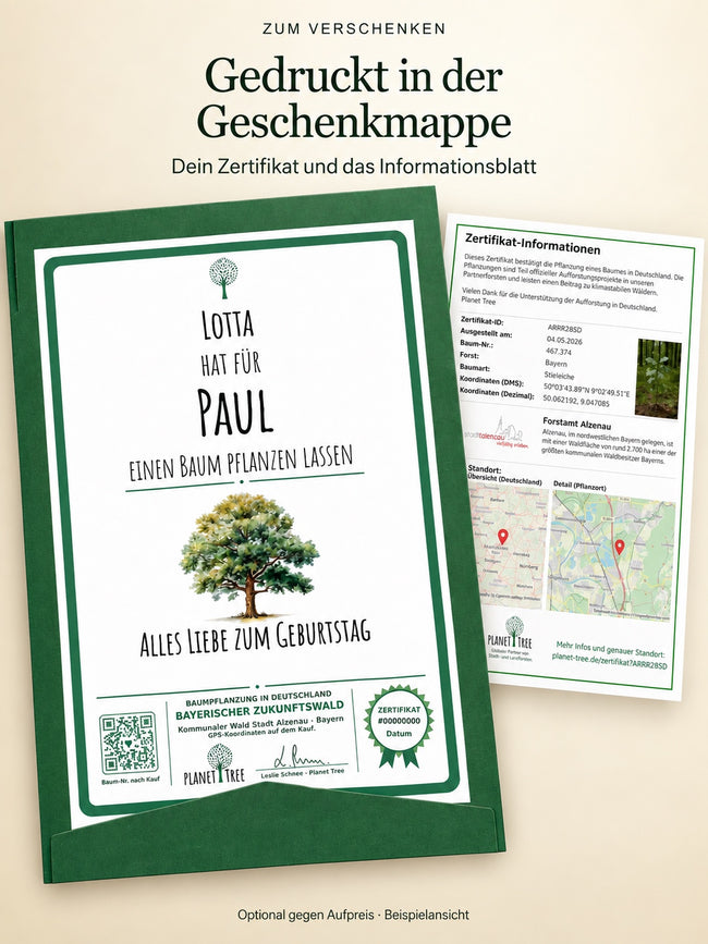 Zertifikat mit Baumpflanzung gedruckt in der grünen Geschenkmappe mit Informationsblatt