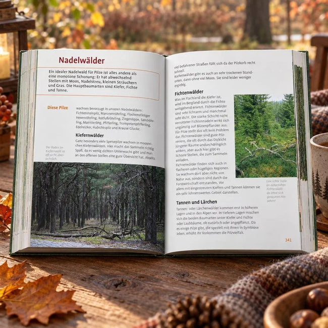 Wild- und Heilkräuter, Beeren & Pilze finden - Für Einsteiger