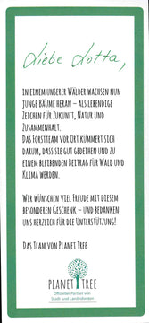 Was glitzert im Winterwald, kleiner Fuchs?