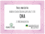 Die sanfte Medizin der Bäume - Buch plus Baumspende in deutschem Landesforst
