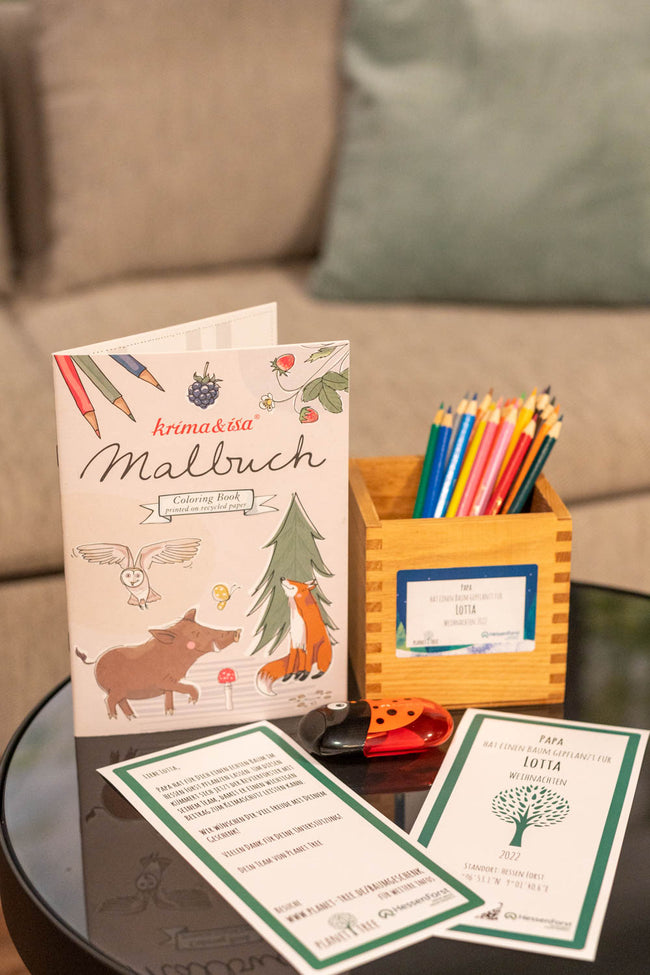 Set aus Buntstiften, Malbuch und Spitzer in handgefertigtem Halter aus Altholz