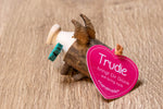 Glücksschwein Trudie mit Kleeblatt