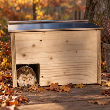 Unterschlupf Igel-Haus