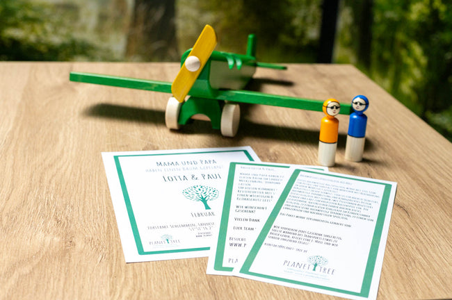 Flugzeug aus Holz