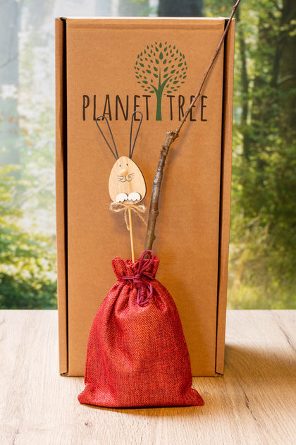 Apfelbaum - Baum zum Pflanzen im Garten