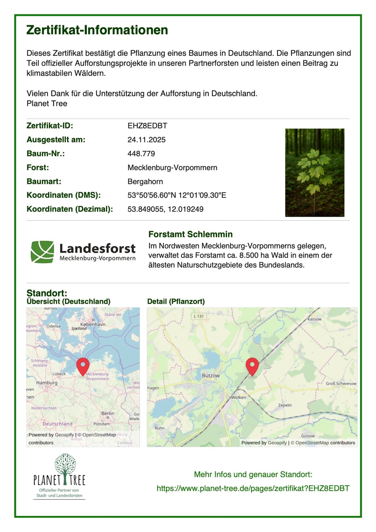 Edelstahl Thermoskanne mit Holz