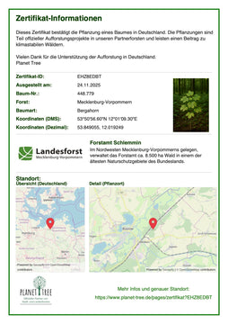 Generationenvertrag Wald: Verantwortung und Leidenschaft