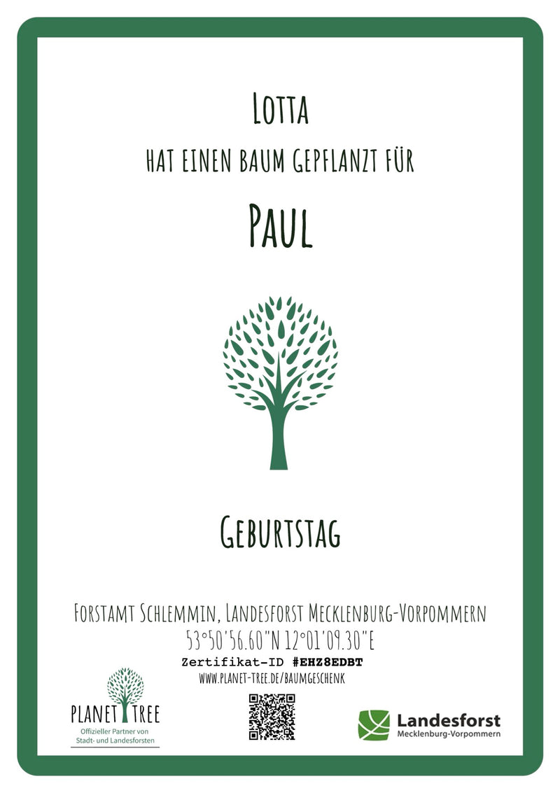 Schutzengel aus dem Schwarzwald