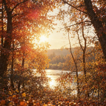Notizbuch mit Waldmotiv - Herbst