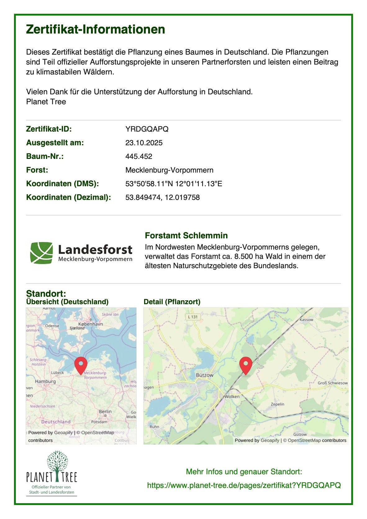 Glückwunsch, Bär!