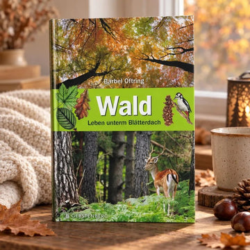 Wald: Leben unterm Blätterdach