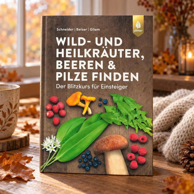 Wild- und Heilkräuter, Beeren & Pilze finden - Für Einsteiger