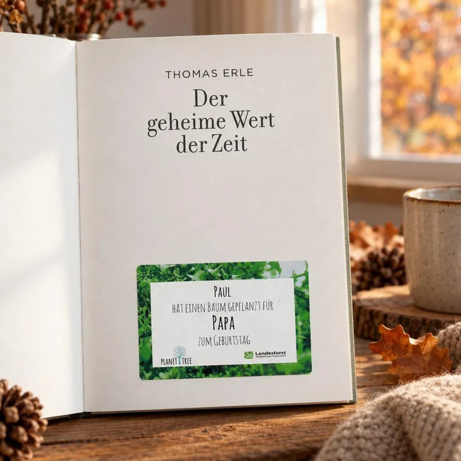 Der geheime Wert der Zeit - Roman aus dem Schwarzwald