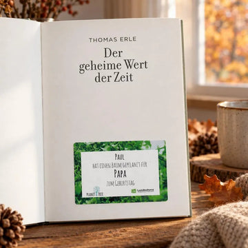 Der geheime Wert der Zeit - Roman aus dem Schwarzwald