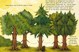 Tanne und das Geheimnis der Waldfreundschaft
