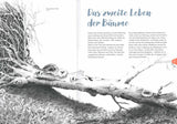 Das zweite Leben der Bäume