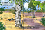 Wildes Leben in alten Bäumen