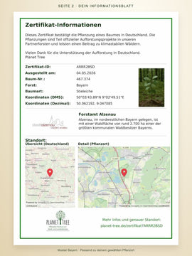 Seite 2 – Informationsblatt zur Baumpflanzung mit Baumart, Standort und Karte