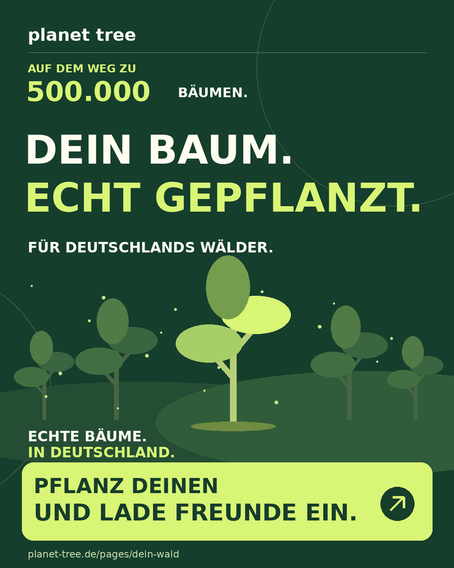 Neueste Geschenke