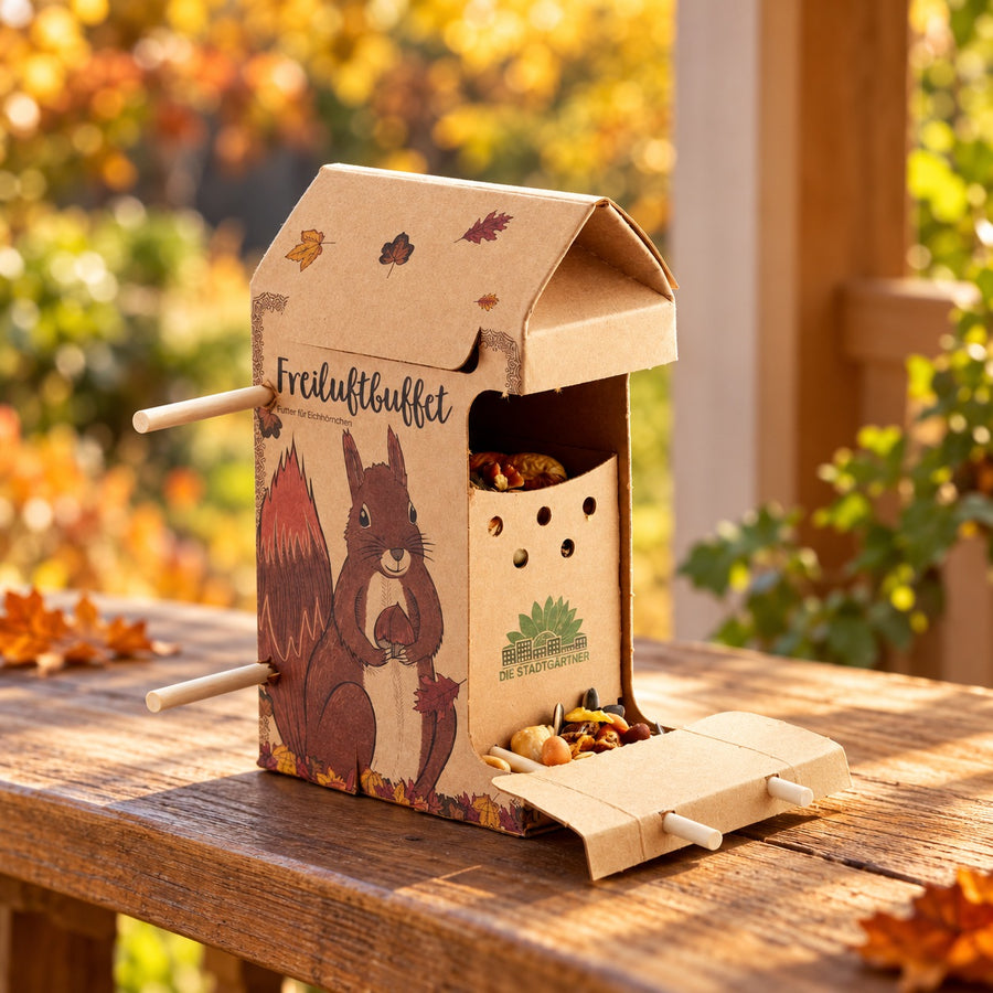 Freiluftbuffet für Eichhörnchen im herbstlichen Setting – Produkt ohne Baumpflanzung