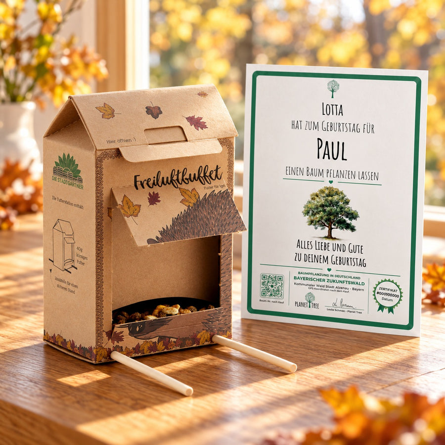 Freiluftbuffet für Igel mit persönlichem Planet-Tree-Baumzertifikat – Gestaltungsbeispiel; Zertifikat bei gewählter Baumpflanzung