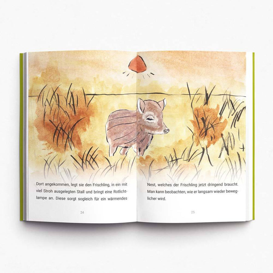 Blick ins Buch: Die wahre Geschichte von Frischling Nessi, Seiten 24–25 – Ölsner Verlag
