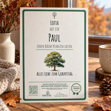 Aktuelles personalisiertes Baumzertifikat – Beispielgestaltung