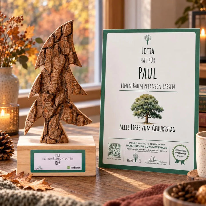 Holztanne aus dem Schwarzwald – Geschenkansicht mit aktuellem Baumzertifikat; Beispielgestaltung