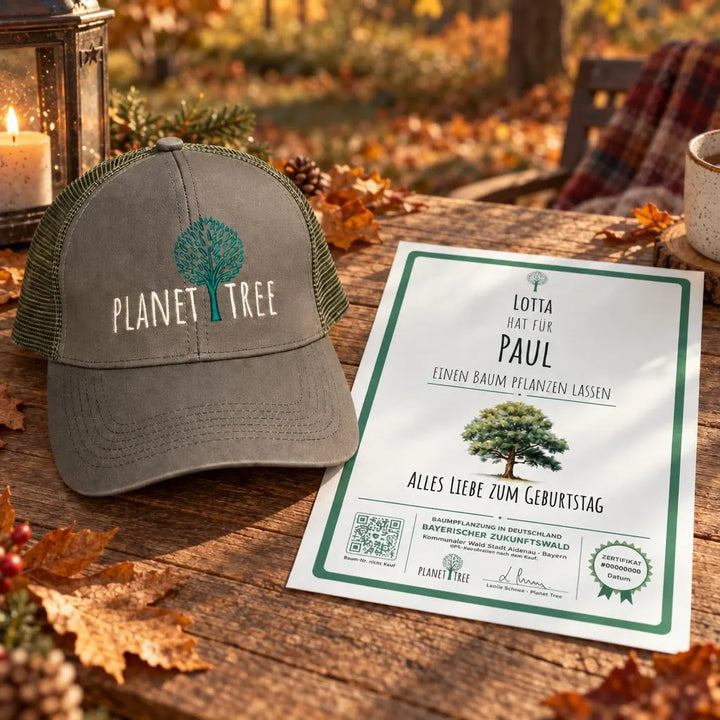 Planet Tree Cap aus Öko-Baumwolle – Geschenkansicht mit aktuellem Baumzertifikat; Beispielgestaltung