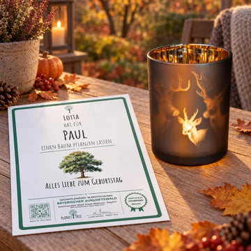 Windlicht mit Hirschmotiv – Geschenkansicht mit aktuellem Baumzertifikat; Beispielgestaltung