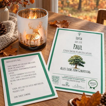 Windlicht geeist in Gold – Geschenkansicht mit aktuellem Baumzertifikat; Beispielgestaltung