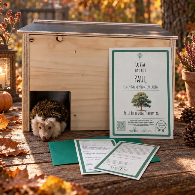 Unterschlupf Igel-Haus – Geschenkansicht mit aktuellem Baumzertifikat; Beispielgestaltung