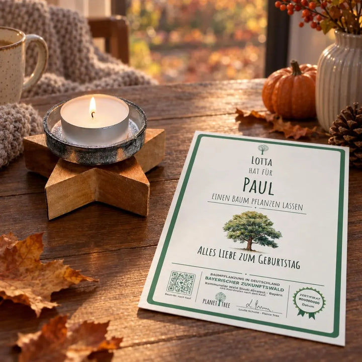 Teelichthalter Stern aus Holz – Geschenkansicht mit aktuellem Baumzertifikat; Beispielgestaltung