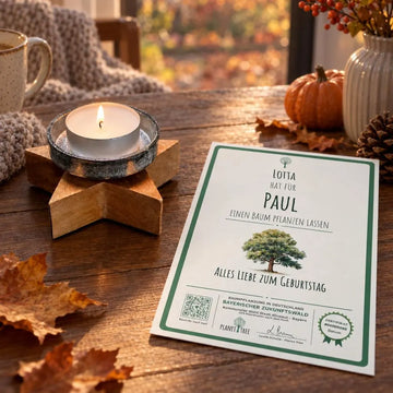 Teelichthalter Stern aus Holz – Geschenkansicht mit aktuellem Baumzertifikat; Beispielgestaltung