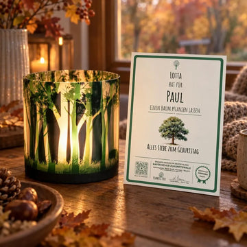 Windlicht mit tollem Waldmotiv – Geschenkansicht mit aktuellem Baumzertifikat; Beispielgestaltung