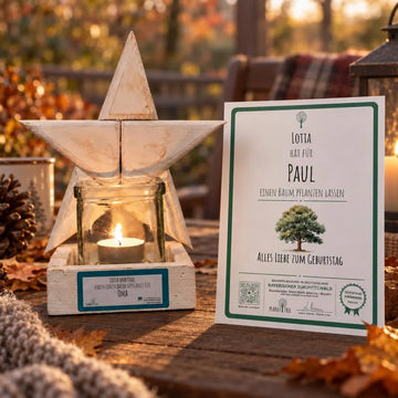 Teelichthalter mit Stern aus altem Holz – Geschenkansicht mit aktuellem Baumzertifikat; Beispielgestaltung