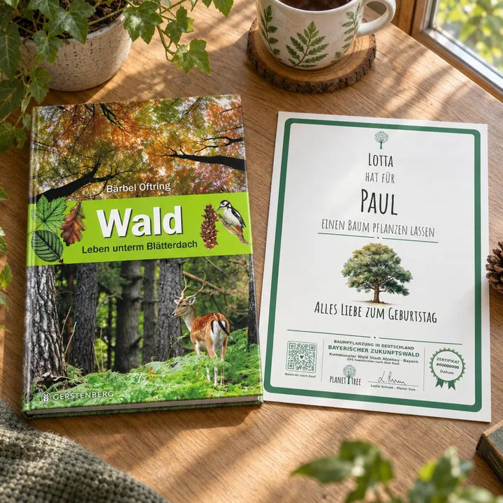 Wald: Leben unterm Blätterdach – Geschenkansicht mit aktuellem Baumzertifikat; Beispielgestaltung