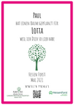 Baumspende in deutschem Landesforst mit Zertifikat (pink) - gerahmt in silberfarbenem Holzrahmen