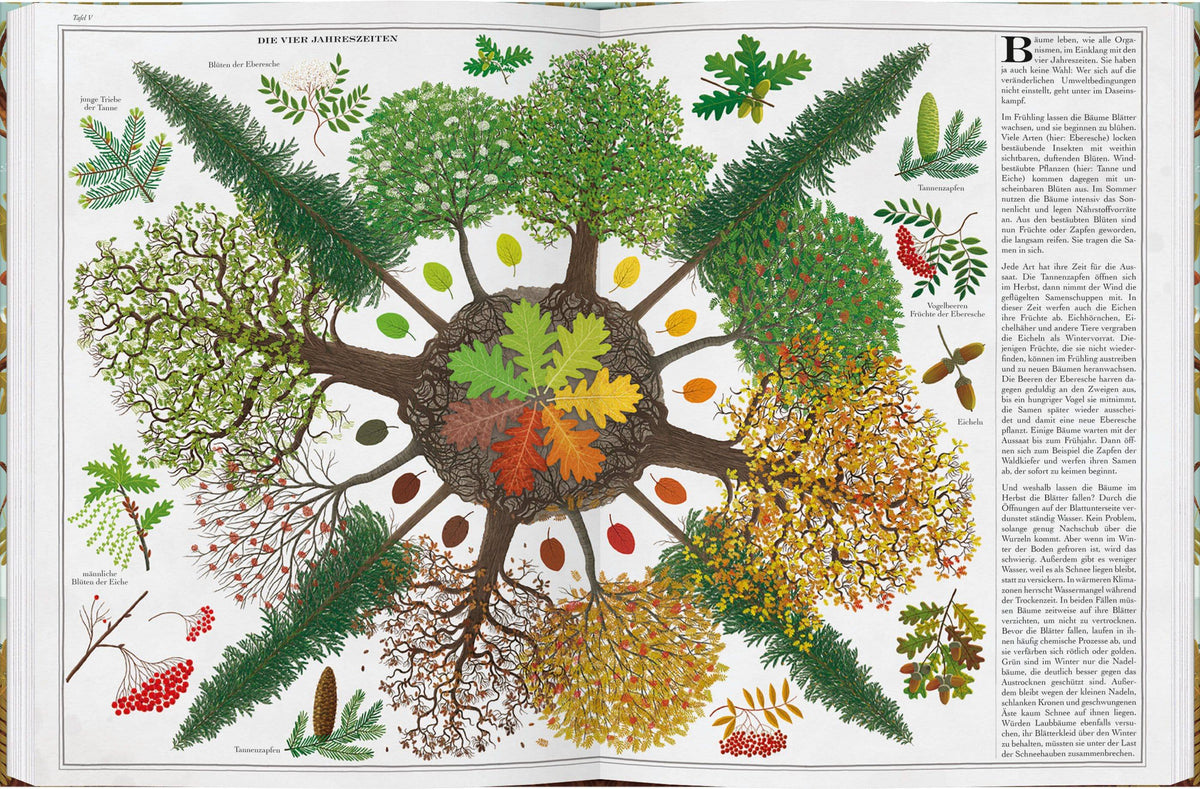 Bäume - Planet Tree