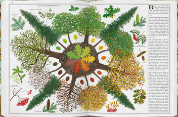 Bäume - Planet Tree