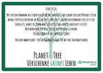 Armbändchen Weinstock Prehinit - Planet Tree
