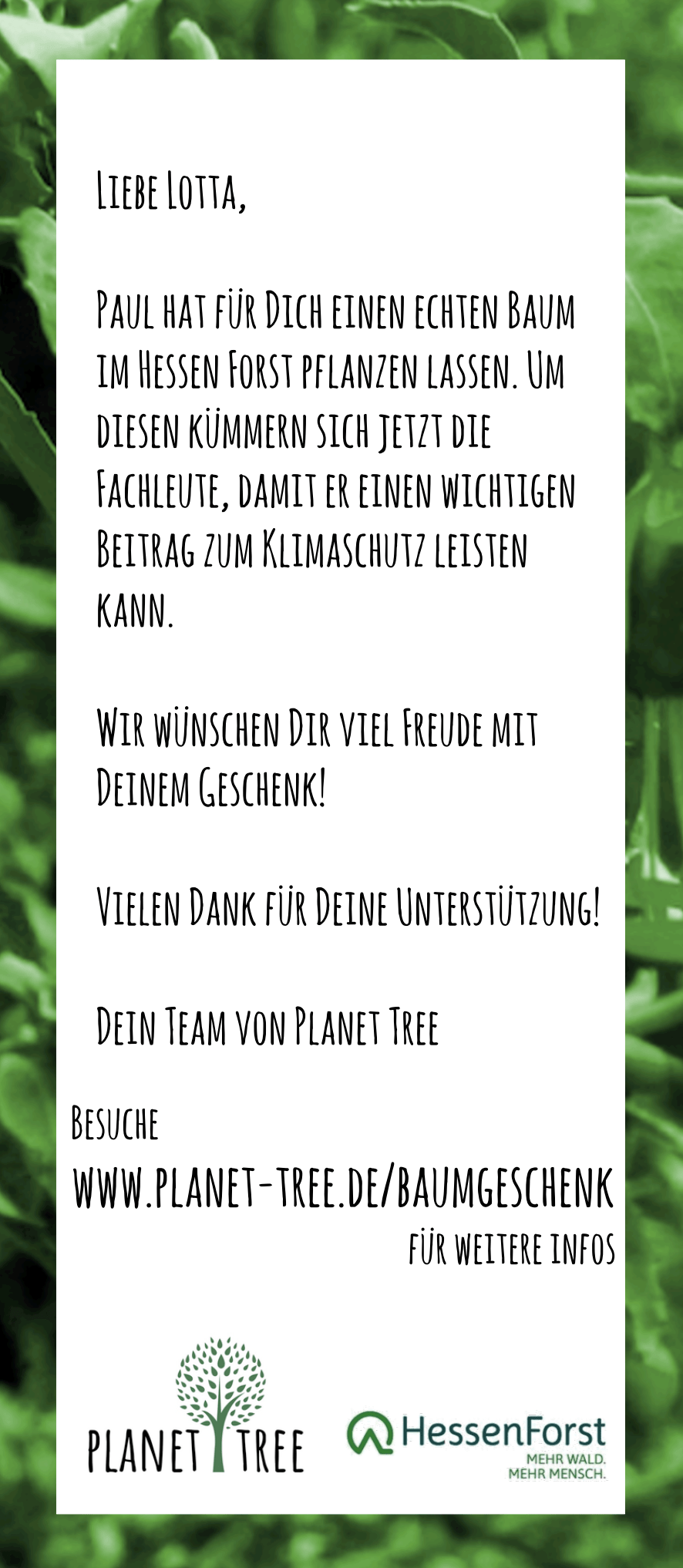 Bäume - Planet Tree