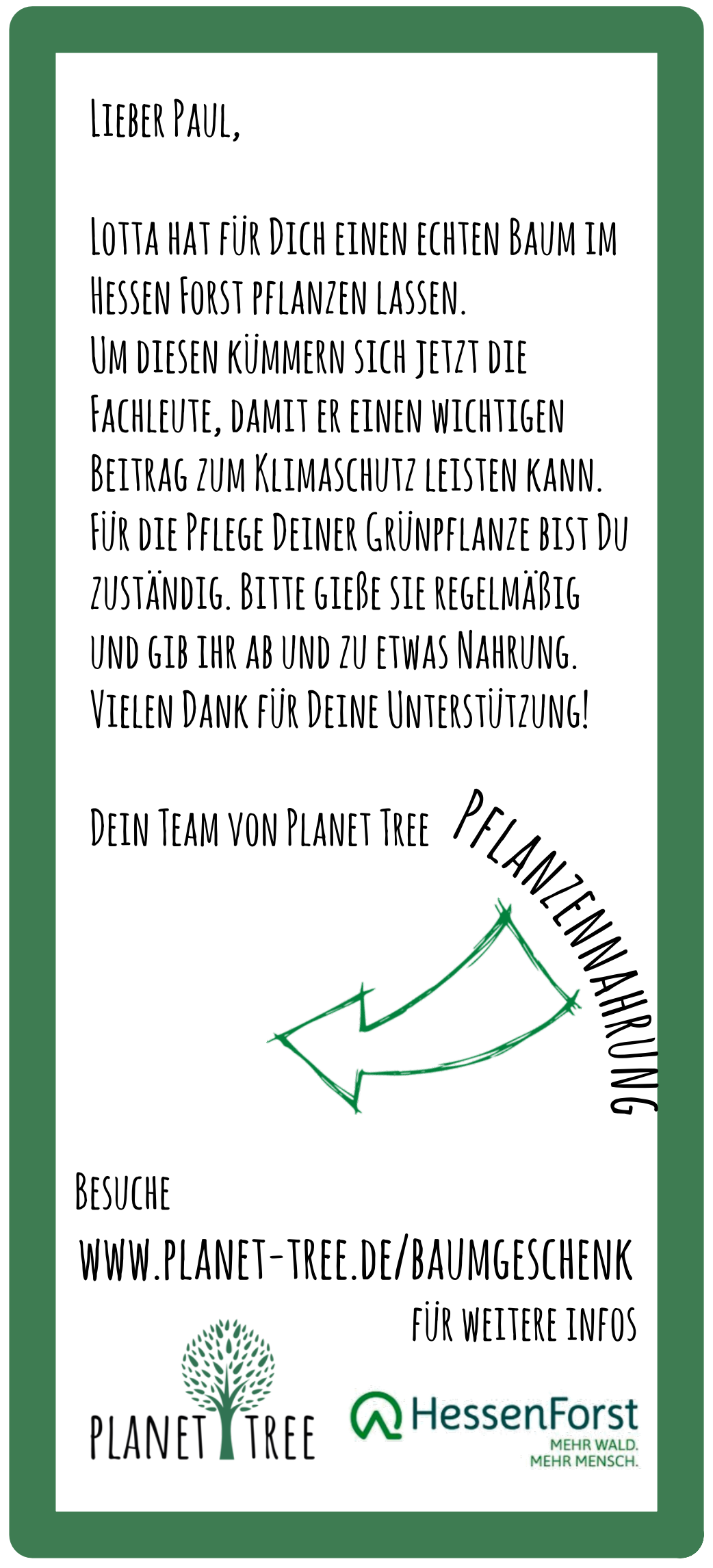 Glückskastanie - Keramiktopf rose
